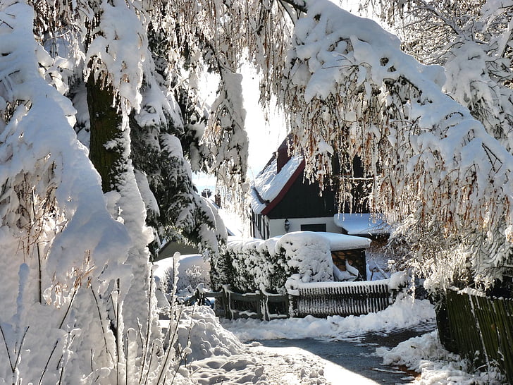 zimska čarolija, romantična, snijeg, saksonska Švicarska, Mraz, Zima, hladno - temperatura