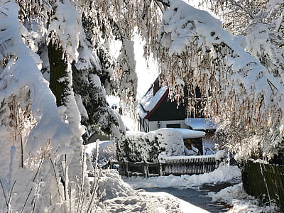 zimné kúzlo, romantické, sneh, Saské Švajčiarsko, mráz, zimné, Studená - teplota
