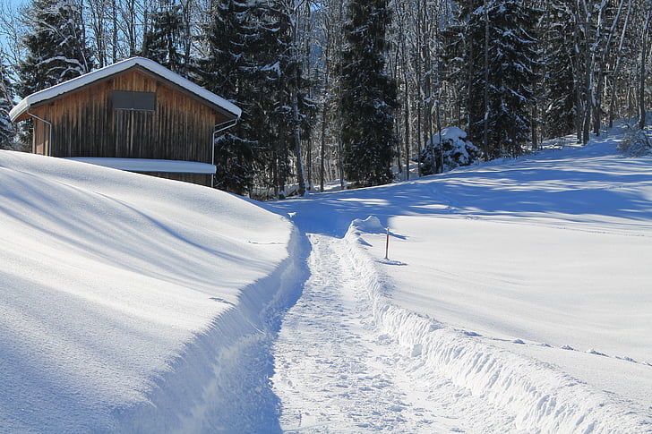 Winter, Hütte, Schnee, entfernt, Wald, sauunt, Landschaft