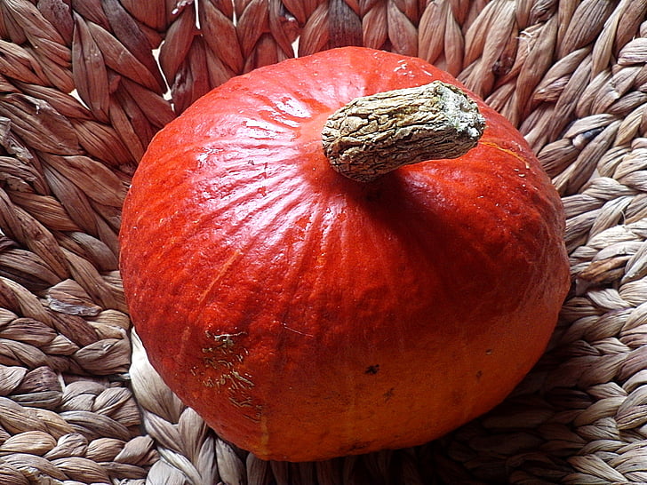 pumpa, hokkaidokürbis, Hokkaido, Orange, grönsaker, hösten dekoration, pumpor