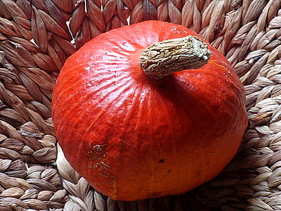 pumpkin, hokkaidokürbis, hokkaido, orange, vegetables, autumn decoration, pumpkins