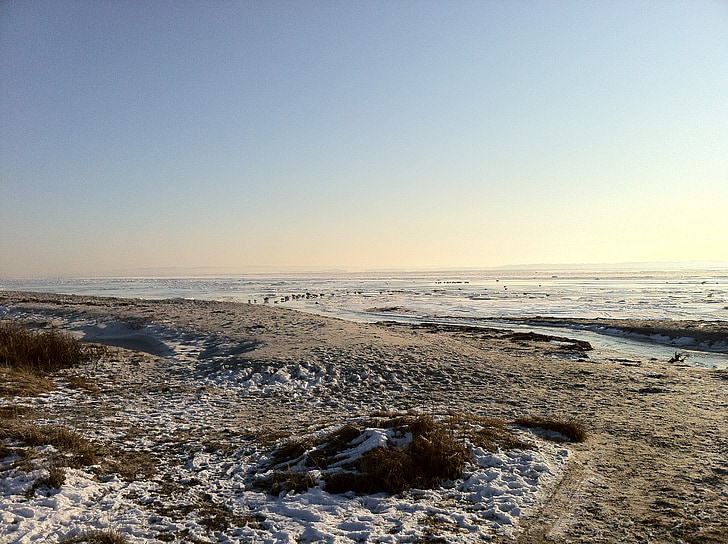 winter, frozen, snow, water, blue sky, beach, sand