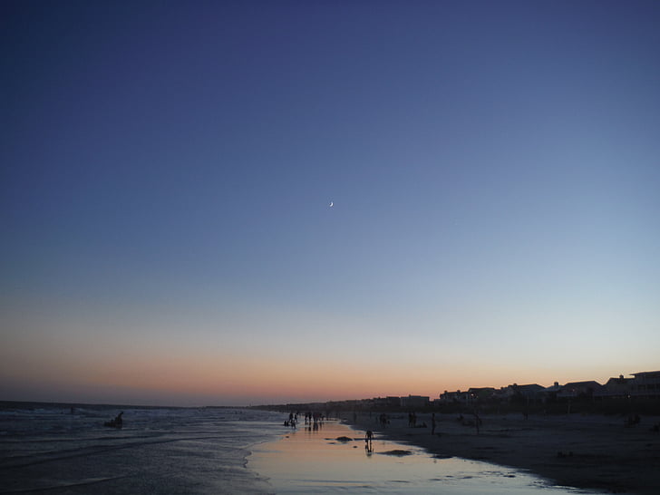 silhouette, people, walking, seashore, blue, clear, sky