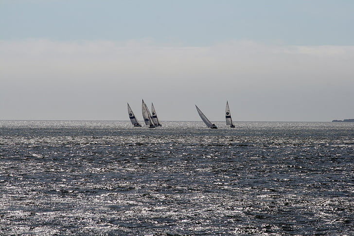 tejo, sailboats, portugal
