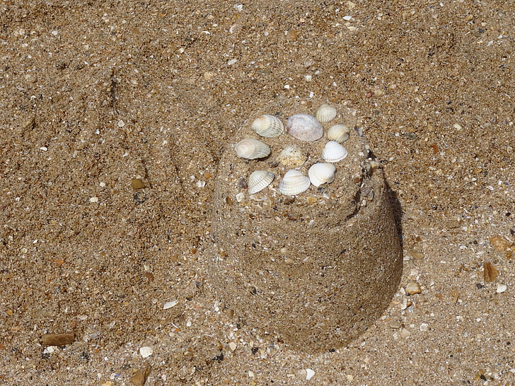 sand, shells, sand castle, beach, seaside