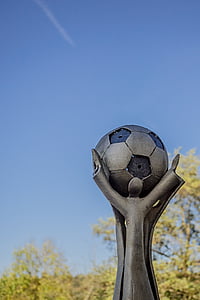 fútbol, taza, bola, Trofeo, Premio, deporte, Club