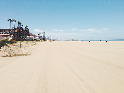 Beach, Holiday, forró, pálmák, homok, tenger, Sky