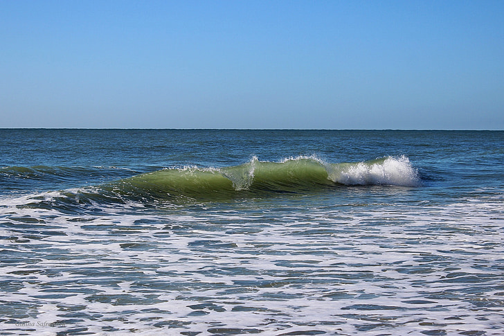myrtle beach, Carolina del Sud, oceà, Atlàntic, platja, vacances, l'estiu