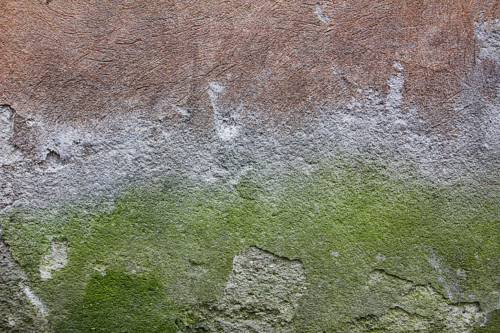 formigó, paret, textura, verd, molsa, fons, paret - edifici tret