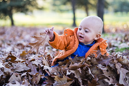 child, forest, playing, dry leaves, foliage, fun, cute