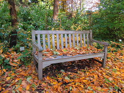 banka, parku, podzim, listy, barevné, Lavička v parku, odpočinek