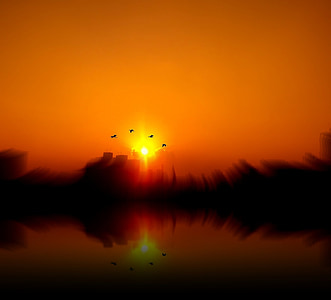 west, birds, sol, sunset, against light, reflection, eventide
