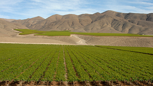 Şili, şarap, Andes, manzara