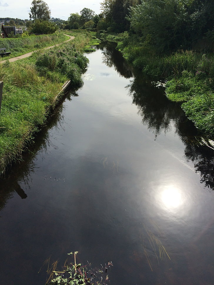 agua, Río, naturaleza, Aalborg, Dinamarca, Creek
