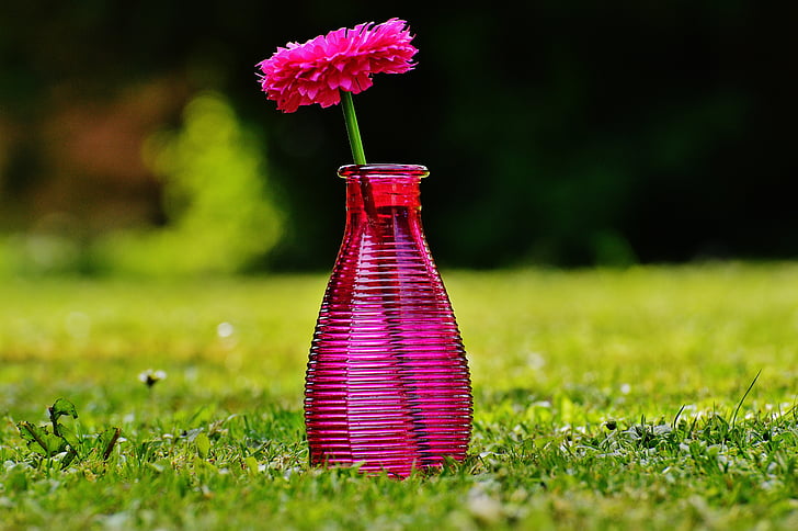vaso, vidro, flor, decoração, -de-rosa, transparente, Deco