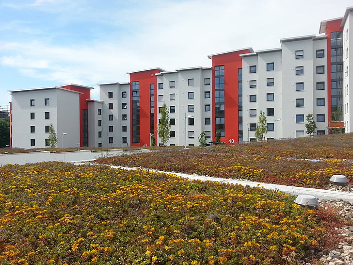 rehabilitation, new building, green roof, red, white, window, flat roof