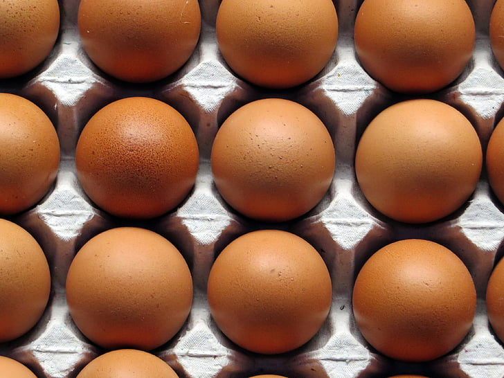 ous, cistella d'ous, marró, menjar, poder, ous vívids, en una fila