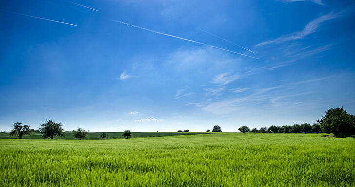 zemědělství, mraky, venkov, ornou půdu, denní světlo, prostředí, farma