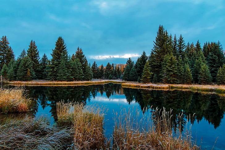 Wyoming, krajobraz, zachód słońca, góry, lasu, drzewa, Woods