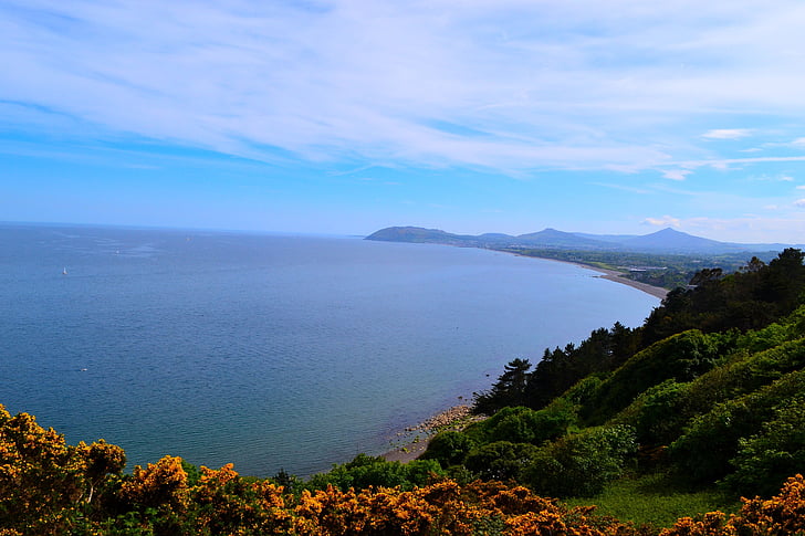 Bucht, Wasser, Blick, Ginster, Himmel, Meer, Irland