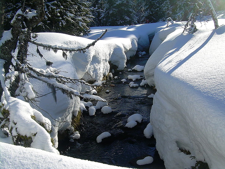 Zimní, sníh, Příroda, Brook, Snow krajina, chlad, Les