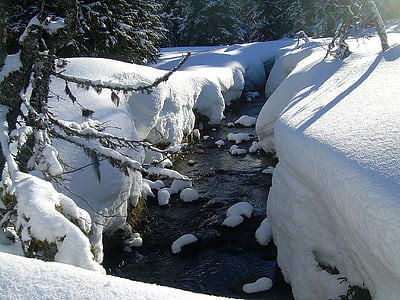 pozimi, sneg, narave, potok, sneg krajine, hladno, gozd