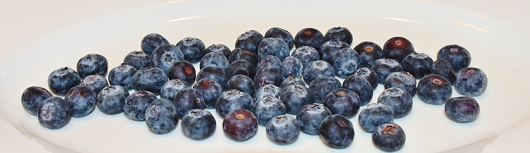 blueberries, food, healthy, frisch, sweet, bio, ripe