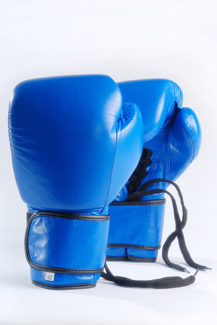 blue boxing gloves, isolated on white background, fight, sport, blue, boxing, equipment