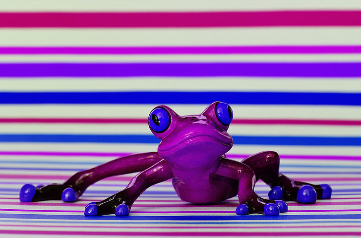 frog, funny, figure, cute, animal, fun, sweet
