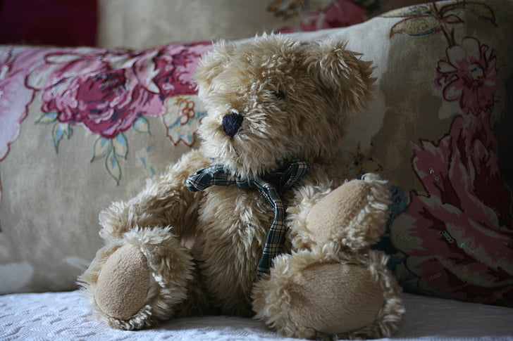 Teddy, ładny, łóżko, Zabawka, Dzieciństwo, słodkie, miękkie
