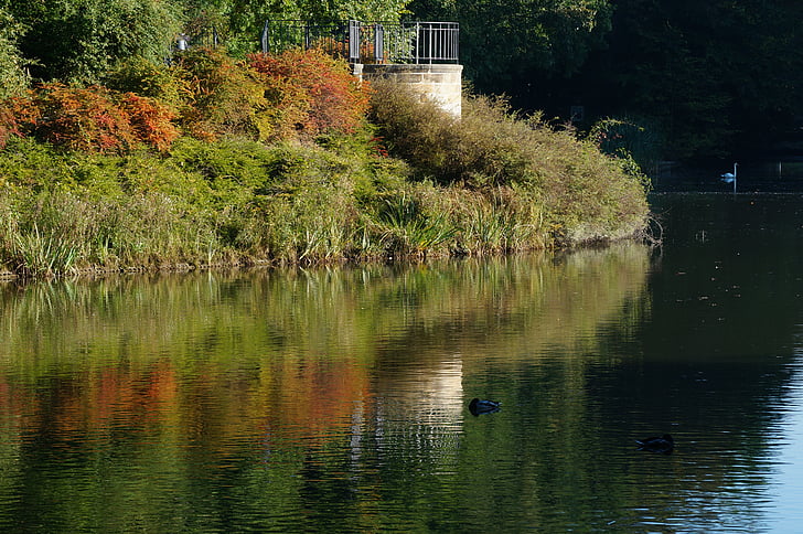 tó, tükrözés, ősz, víz, színes, hangulat, elmélkedés