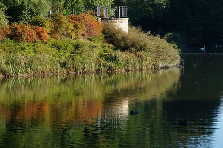 ežeras, atvaizdavimas, rudenį, vandens, spalvinga, nuotaika, atspindys