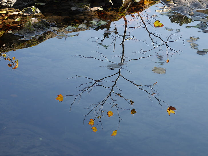 reflexe, na podzim, řeka