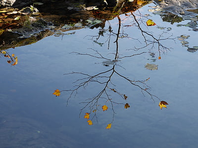 reflection, fall, river