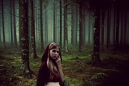girl, fairy tales, rotkäppchen, forest, fairy tale, fog, gloomy