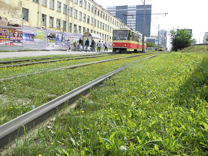 tram, grass, transport, vehicle, railroad Track, train, transportation