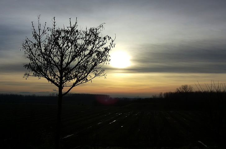 sorg, Sunset, efterår