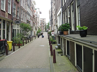 paviment, carreró, Amsterdam, arquitectura, edifici, ciutat, carrer