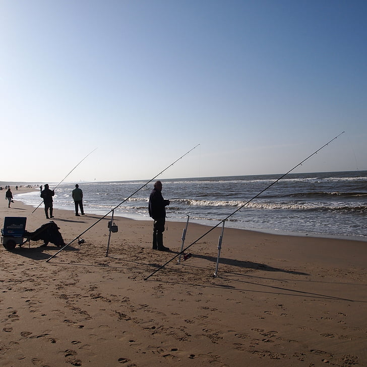 silueta, personas, pesca, mar, Playa, caña de pescar, paisaje
