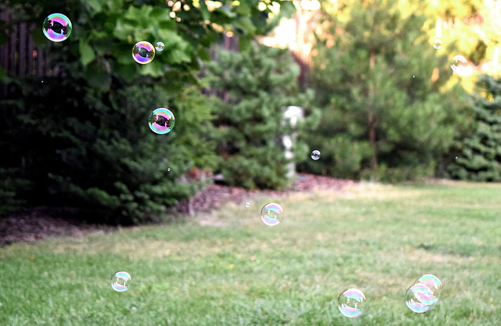 Bubbles, Grass, Rasen