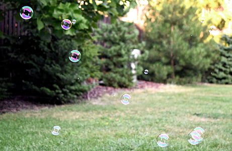 bobler, græs, græsplæne