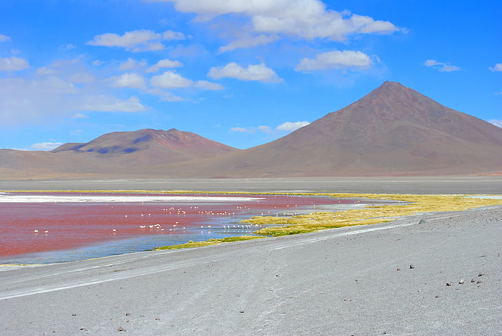 rød lagoon, Bolivia, Lagoon, rejse, Andesbjergene, Altiplano