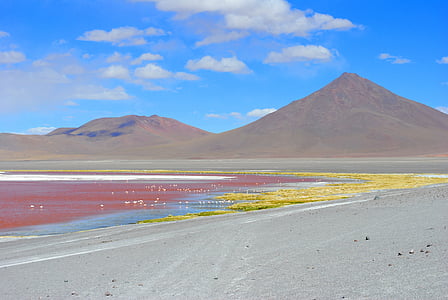 lagune rouge, Bolivie, lagon, voyage, Andes, Altiplano