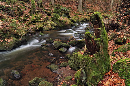 torrent, river, stream, water, tree, green, landscape