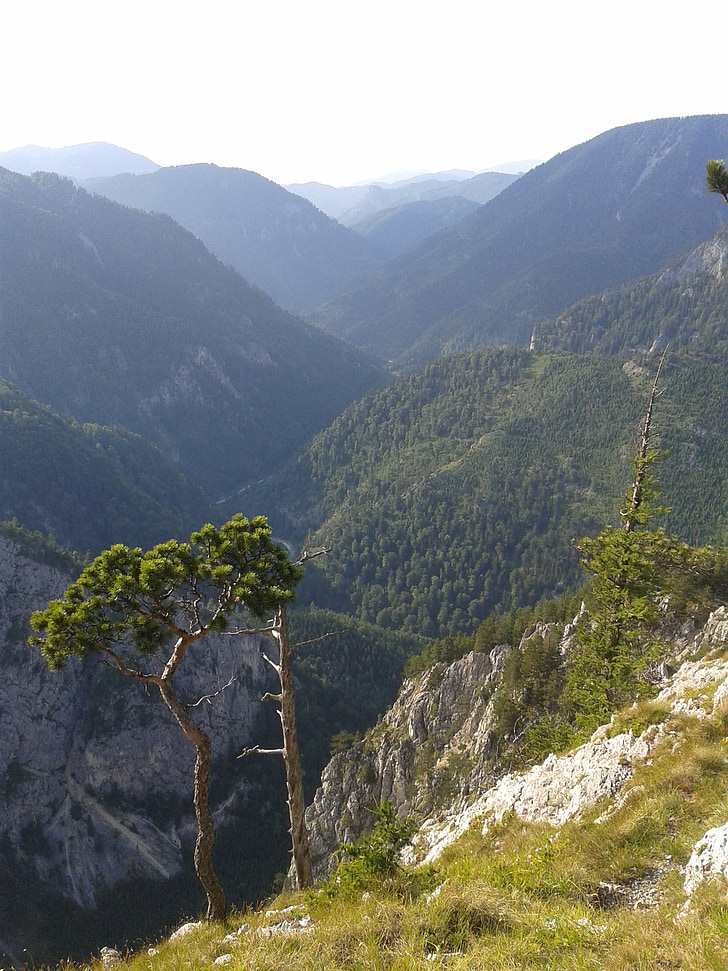 Berge, Tal, Holz, einsam, Natur, Alpine, Panorama