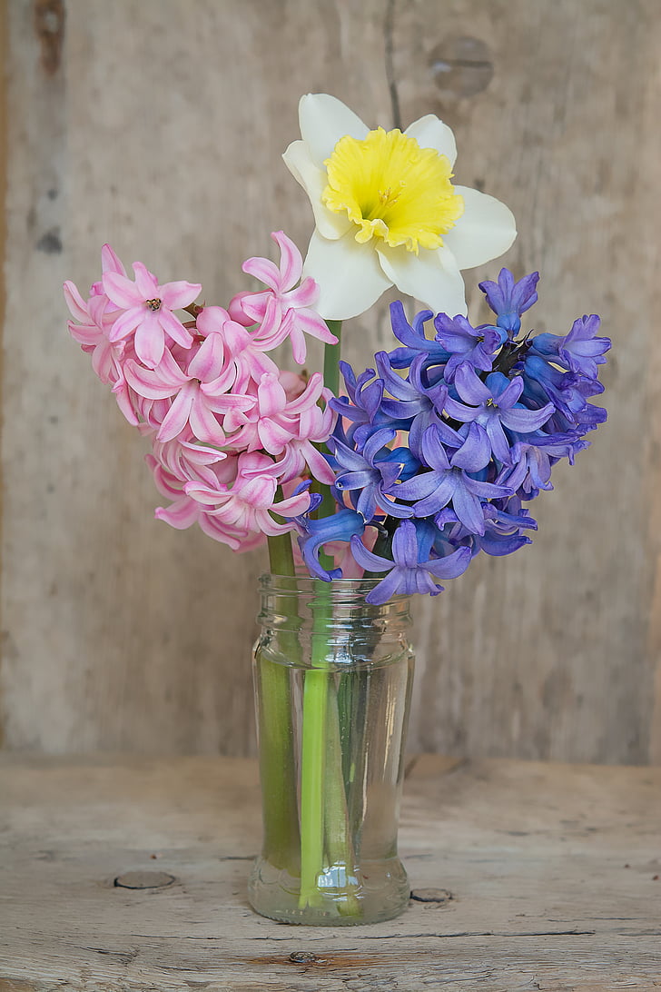 cvetje, šopek, vaza, steklo, Hyacinth, Narcisa, rumena