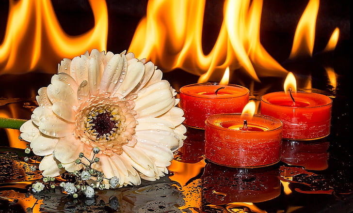 Gerbera, gypsophila, sveče, ob svečah, plamen, pereč Svečnik, ogenj