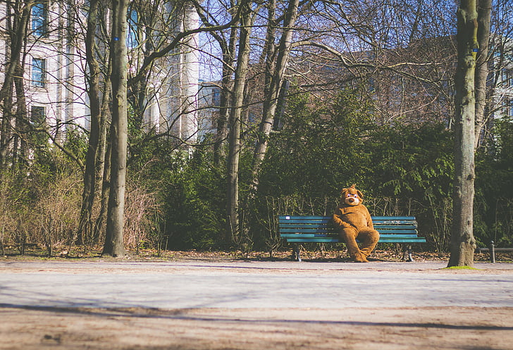 mascot, alone, bear, bench, chair, park, woods