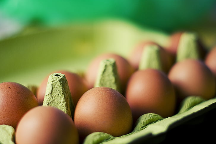 barna, tojás, élelmiszer, szelektív összpontosít, étel és ital, egészséges táplálkozás, zöld színű