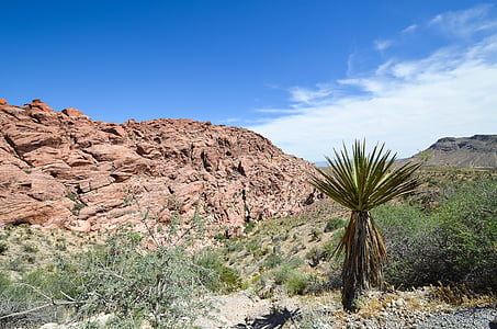 é.-u., l’Amérique, Nevada, canyon de roche rouge, Rock, falaise, nature